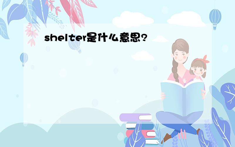 shelter是什么意思?