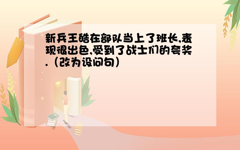 新兵王皓在部队当上了班长,表现很出色,受到了战士们的夸奖.（改为设问句）