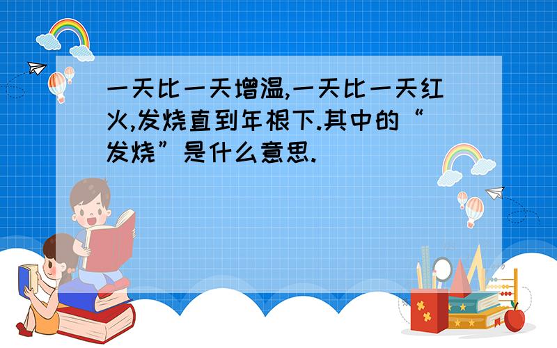 一天比一天增温,一天比一天红火,发烧直到年根下.其中的“发烧”是什么意思.