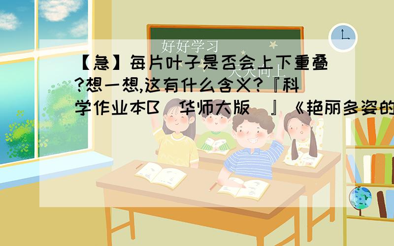 【急】每片叶子是否会上下重叠?想一想,这有什么含义?『科学作业本B（华师大版）』《艳丽多姿的生物（一）》