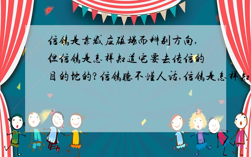 信鸽是靠感应磁场而辨别方向,但信鸽是怎样知道它要去传信的目的地的?信鸽听不懂人话,信鸽是怎样知道它要去传信的目的地的?