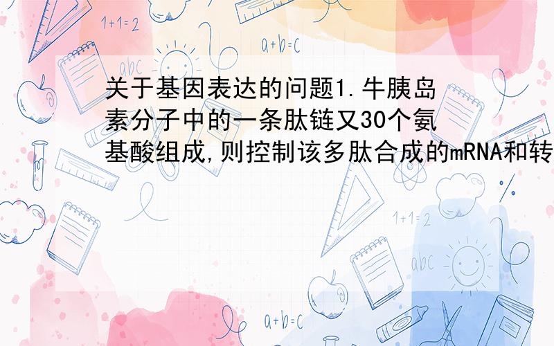 关于基因表达的问题1.牛胰岛素分子中的一条肽链又30个氨基酸组成,则控制该多肽合成的mRNA和转录RNA的基因中的碱基的最少个数分别是a.30和30 b.60和60 c.90和180 d.90和902.右面为DNA转录过程中的