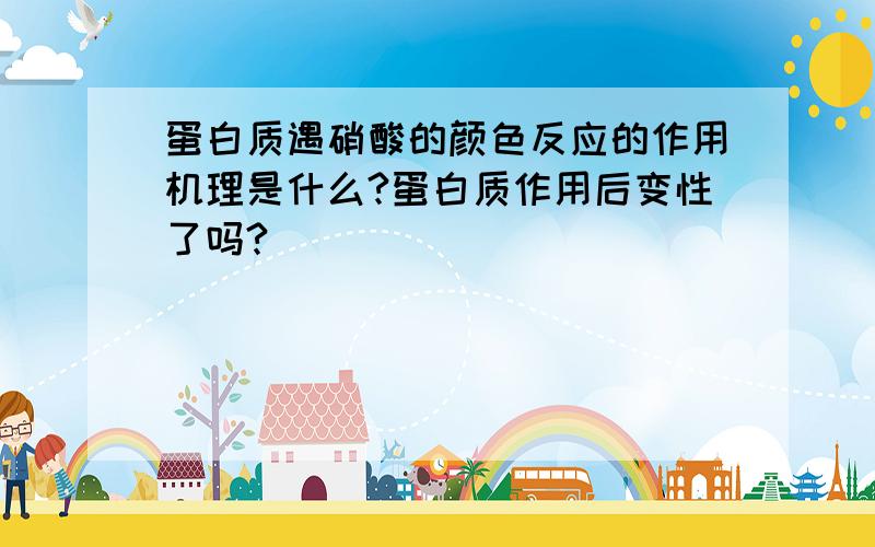 蛋白质遇硝酸的颜色反应的作用机理是什么?蛋白质作用后变性了吗?