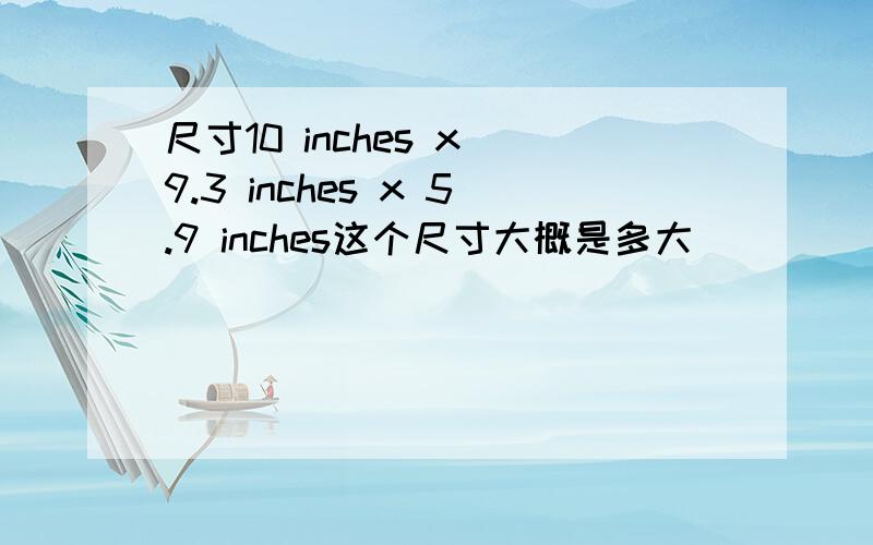 尺寸10 inches x 9.3 inches x 5.9 inches这个尺寸大概是多大