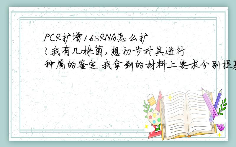 PCR扩增16sRNA怎么扩?我有几株菌,想初步对其进行种属的鉴定.我拿到的材料上要求分别提基因组DNA后,用PCR扩增其16sRNA,.怎么扩?我看到文献上都是扩16SrDNA的步骤,但没有扩16sRNA的步骤.本人菜鸟,