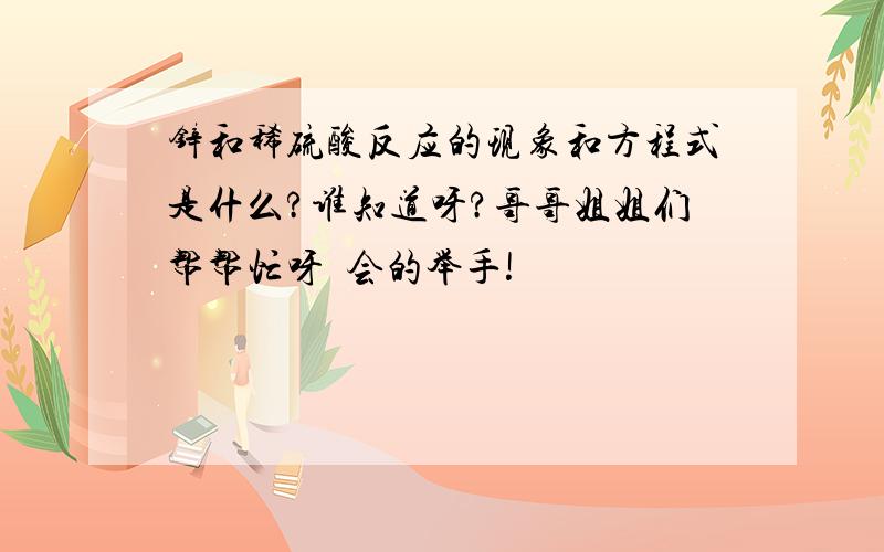 锌和稀硫酸反应的现象和方程式是什么?谁知道呀?哥哥姐姐们帮帮忙呀  会的举手!