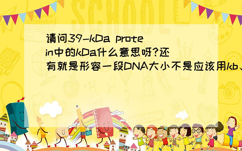 请问39-kDa protein中的kDa什么意思呀?还有就是形容一段DNA大小不是应该用kb、pb的吗,那么说一个酶片段的大小用ku是什么意思呀?