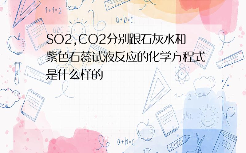 SO2,CO2分别跟石灰水和紫色石蕊试液反应的化学方程式是什么样的