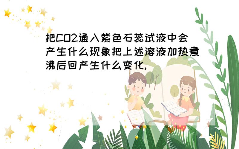 把CO2通入紫色石蕊试液中会产生什么现象把上述溶液加热煮沸后回产生什么变化,