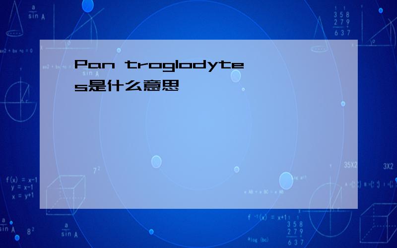 Pan troglodytes是什么意思