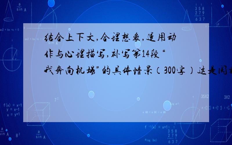 结合上下文,合理想象,运用动作与心理描写,补写第14段“我奔向机场”的具体情景（300字）这是阅读《目送》里的题目,要300字哦,要运用动作与心理描写,谢谢你们了,