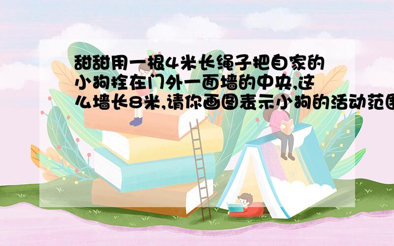 甜甜用一根4米长绳子把自家的小狗拴在门外一面墙的中央,这么墙长8米,请你画图表示小狗的活动范围,并计算小狗的活动范围