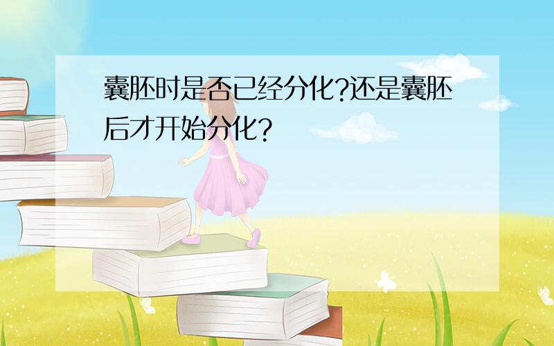 囊胚时是否已经分化?还是囊胚后才开始分化?