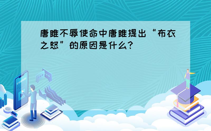 唐雎不辱使命中唐雎提出“布衣之怒”的原因是什么?