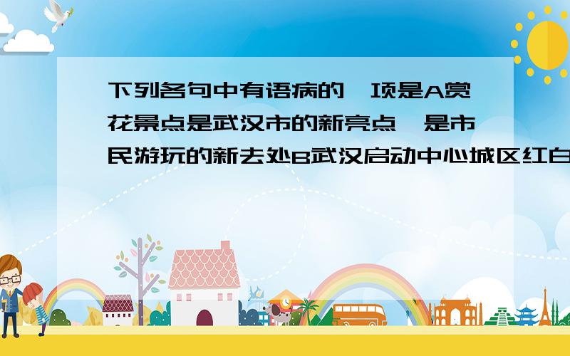 下列各句中有语病的一项是A赏花景点是武汉市的新亮点,是市民游玩的新去处B武汉启动中心城区红白喜事禁止燃放烟花爆竹专项整治活动.C在实现中国梦的伟大历史进程中,弘扬传承延安精神