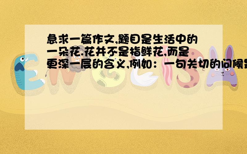 急求一篇作文,题目是生活中的一朵花.花并不是指鲜花,而是更深一层的含义,例如：一句关切的问候是一朵花,一个亲切的微笑是一朵花,一次碰撞后的忍让是一朵花,一次跌倒后的搀扶是一朵花