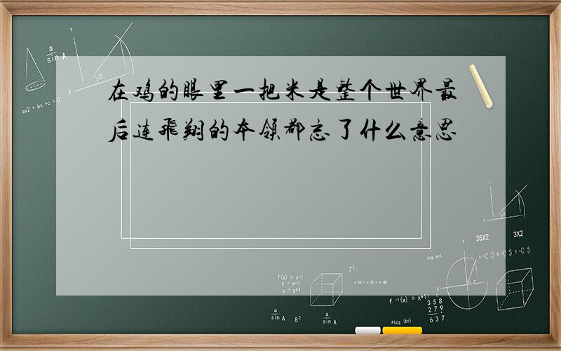 在鸡的眼里一把米是整个世界最后连飞翔的本领都忘了什么意思