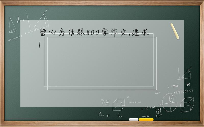 留心为话题800字作文,速求!