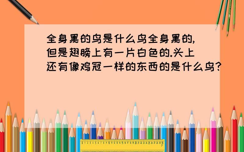 全身黑的鸟是什么鸟全身黑的,但是翅膀上有一片白色的.头上还有像鸡冠一样的东西的是什么鸟?