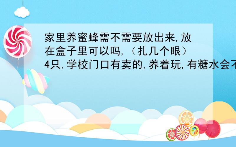 家里养蜜蜂需不需要放出来,放在盒子里可以吗,（扎几个眼）4只,学校门口有卖的,养着玩,有糖水会不会淹死啊