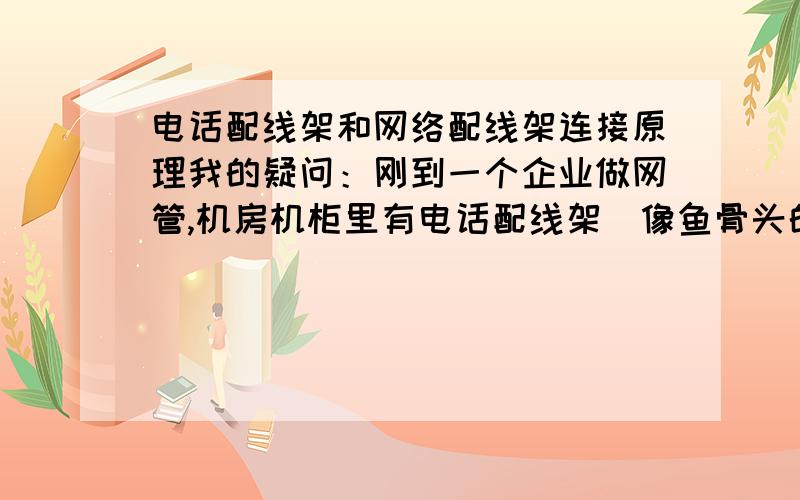 电话配线架和网络配线架连接原理我的疑问：刚到一个企业做网管,机房机柜里有电话配线架（像鱼骨头的那个）、网络配线架（AMP Category 5e System）、交换机（TENDA）,带宽是10M光纤（在门卫