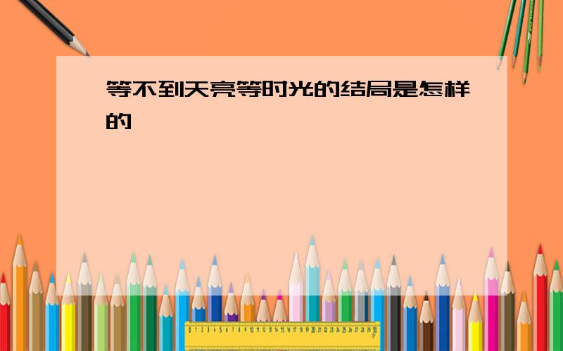 等不到天亮等时光的结局是怎样的