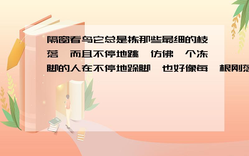 隔窗看鸟它总是拣那些最细的枝落,而且不停地跳,仿佛一个冻脚的人在不停地跺脚,也好像每一根刚落上的细枝都不是它要找的那枝,它跳来跳去,总在找,不知丢了什么.除了跳以外,它的尾巴总