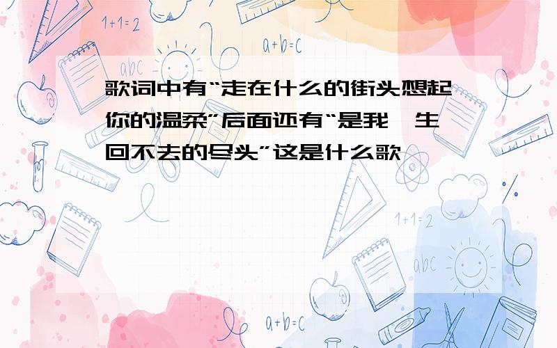 歌词中有“走在什么的街头想起你的温柔”后面还有“是我一生回不去的尽头”这是什么歌