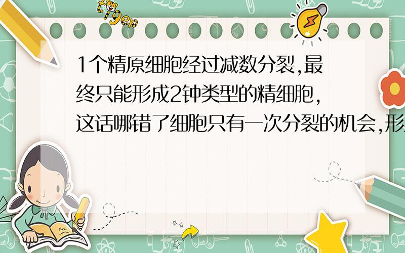 1个精原细胞经过减数分裂,最终只能形成2钟类型的精细胞,这话哪错了细胞只有一次分裂的机会,形成四个细胞,两种各两个啊