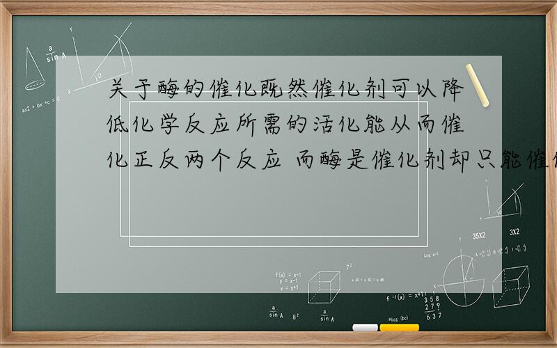 关于酶的催化既然催化剂可以降低化学反应所需的活化能从而催化正反两个反应 而酶是催化剂却只能催化一个方向的反应