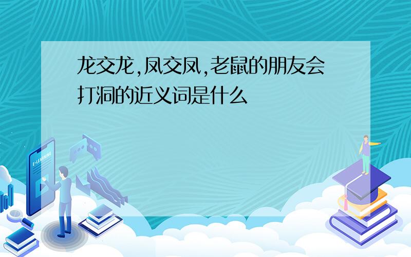 龙交龙,凤交凤,老鼠的朋友会打洞的近义词是什么