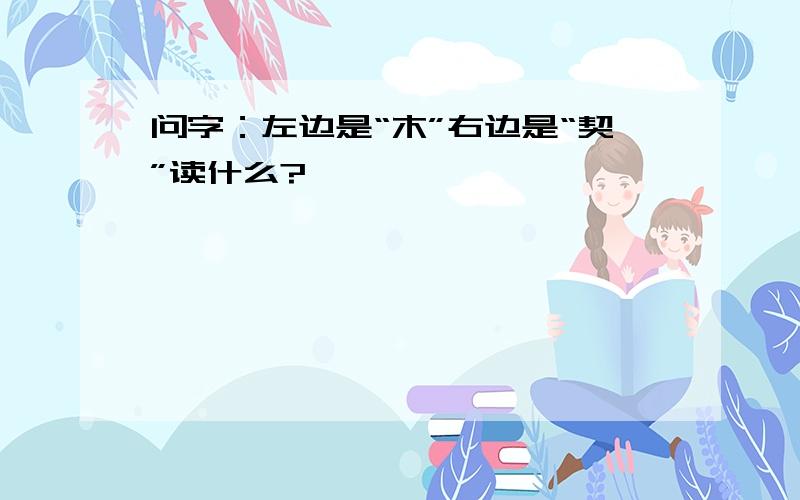 问字：左边是“木”右边是“契”读什么?