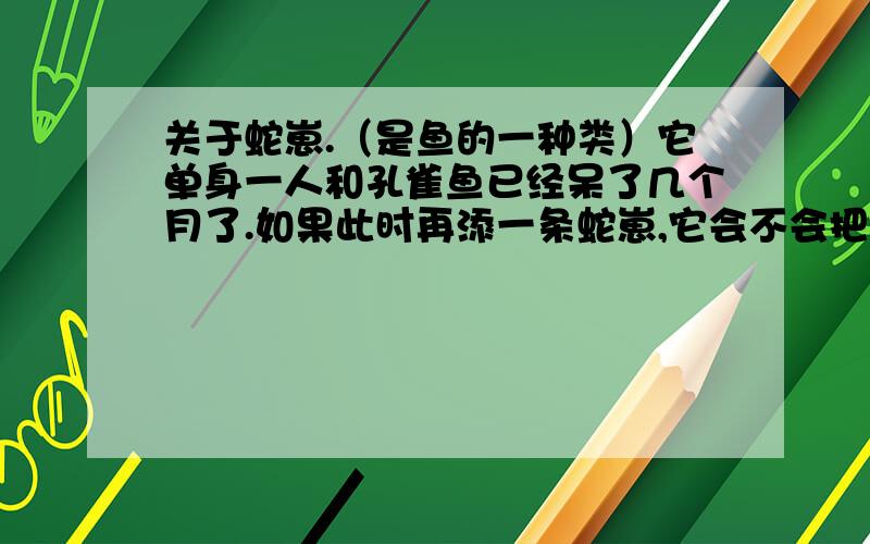 关于蛇崽.（是鱼的一种类）它单身一人和孔雀鱼已经呆了几个月了.如果此时再添一条蛇崽,它会不会把新来的蛇崽当成敌人?它有很强的领土性概念吗?蛇崽到底是怎样的一种鱼……我也搞不