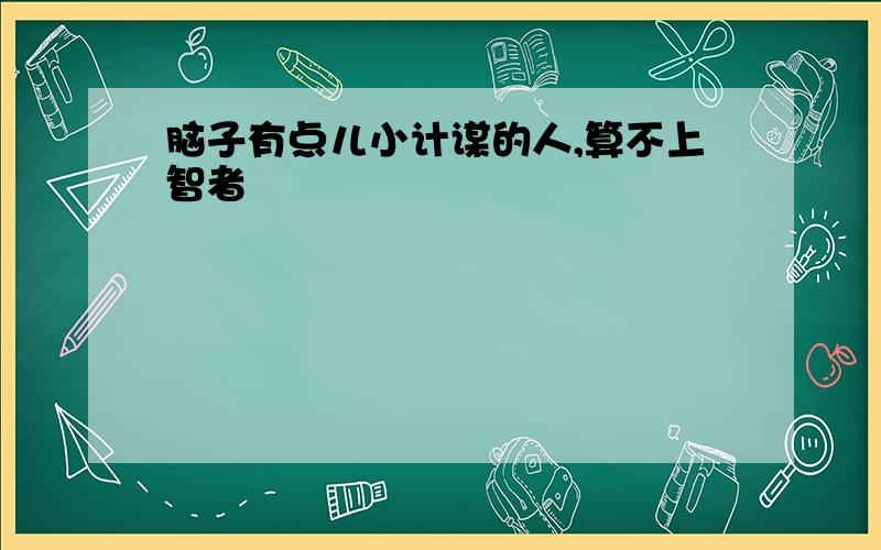 脑子有点儿小计谋的人,算不上智者