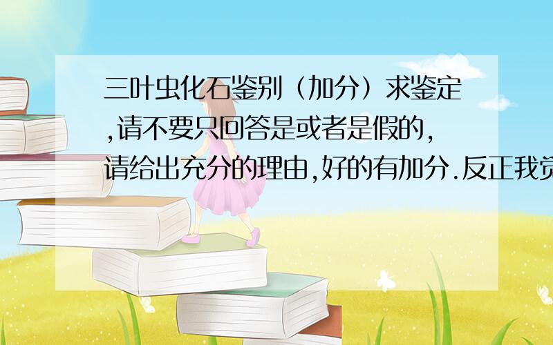 三叶虫化石鉴别（加分）求鉴定,请不要只回答是或者是假的,请给出充分的理由,好的有加分.反正我觉得挺假的,具体一块石头一分为二,里面就是一化石,截面6.8cmX5.5cm