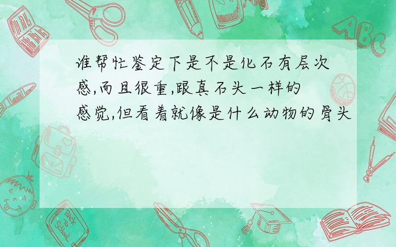 谁帮忙鉴定下是不是化石有层次感,而且很重,跟真石头一样的感觉,但看着就像是什么动物的骨头