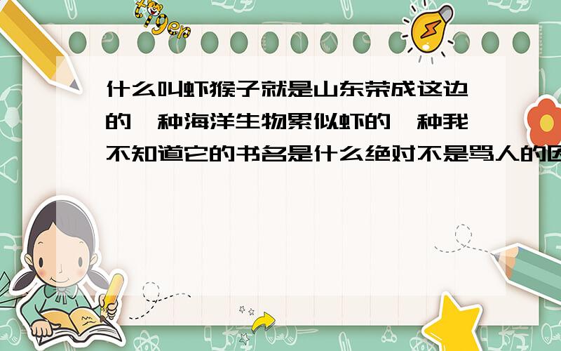 什么叫虾猴子就是山东荣成这边的一种海洋生物累似虾的一种我不知道它的书名是什么绝对不是骂人的因为我吃过- -、