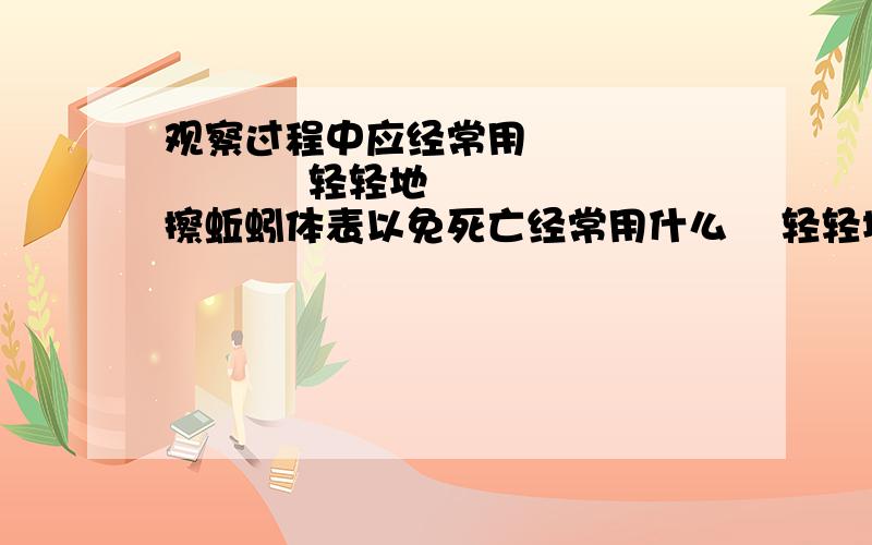 观察过程中应经常用                轻轻地擦蚯蚓体表以免死亡经常用什么    轻轻地擦