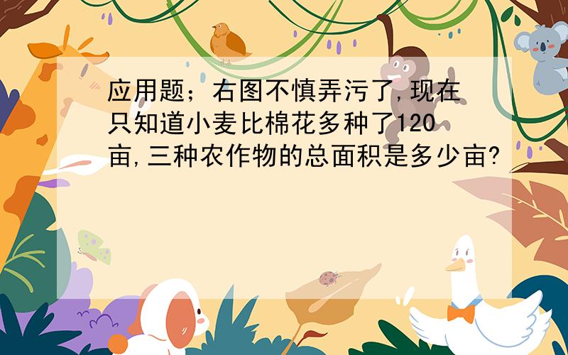 应用题；右图不慎弄污了,现在只知道小麦比棉花多种了120亩,三种农作物的总面积是多少亩?