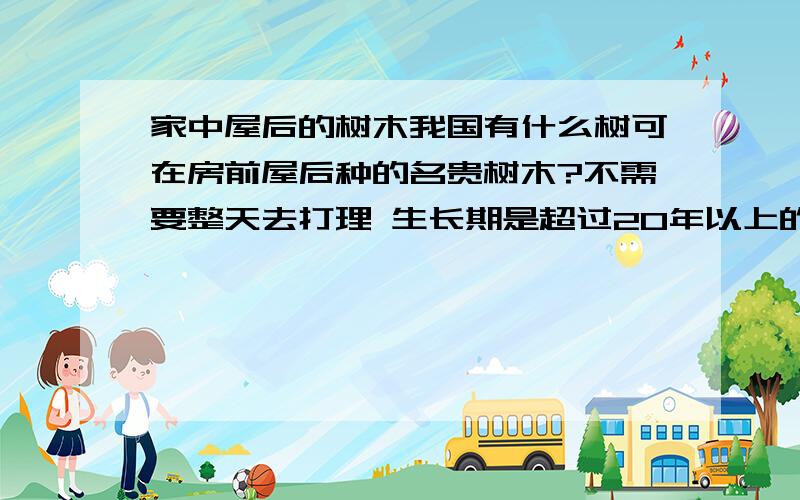 家中屋后的树木我国有什么树可在房前屋后种的名贵树木?不需要整天去打理 生长期是超过20年以上的树种