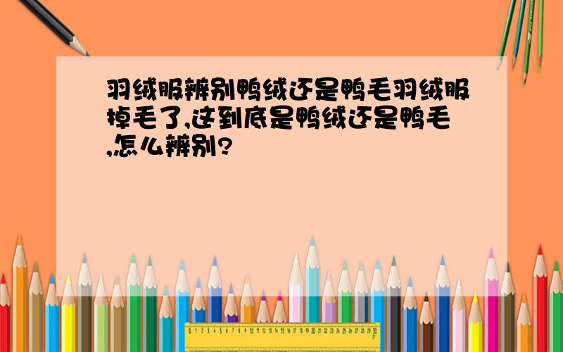 羽绒服辨别鸭绒还是鸭毛羽绒服掉毛了,这到底是鸭绒还是鸭毛,怎么辨别?