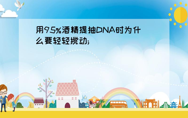 用95%酒精提抽DNA时为什么要轻轻搅动;