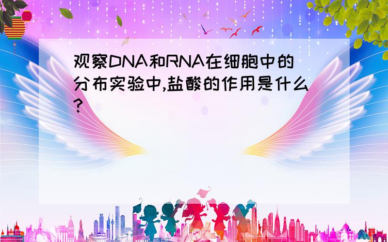 观察DNA和RNA在细胞中的分布实验中,盐酸的作用是什么?