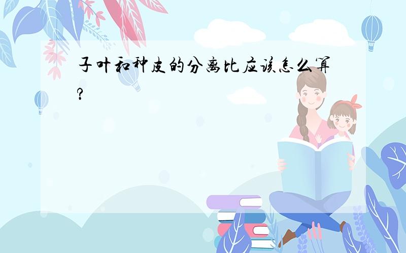 子叶和种皮的分离比应该怎么算?