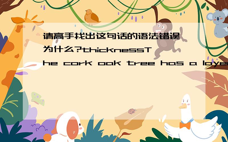 请高手找出这句话的语法错误,为什么?thicknessThe cork oak tree has a layer of cork several inches thickness that can be stripped every ten years.