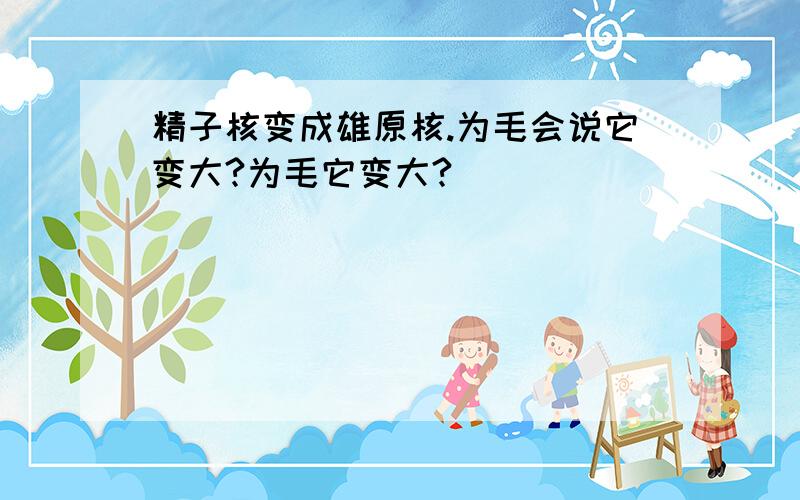 精子核变成雄原核.为毛会说它变大?为毛它变大?