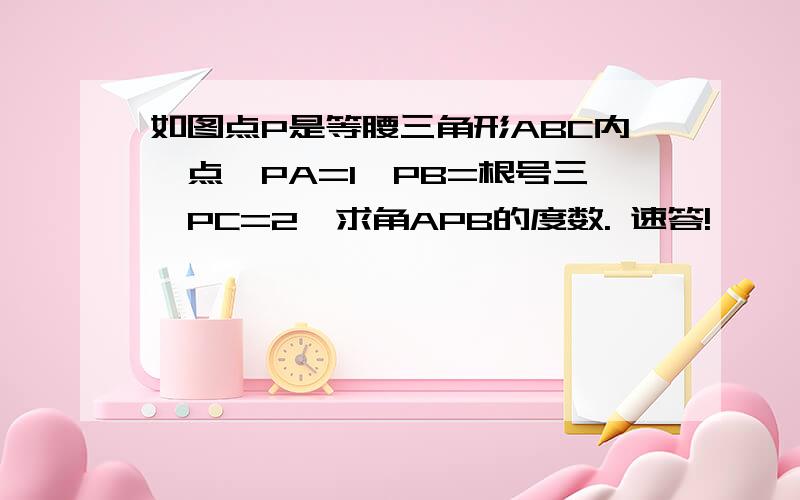 如图点P是等腰三角形ABC内一点,PA=1,PB=根号三,PC=2,求角APB的度数. 速答!