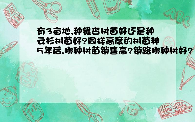 有3亩地,种银杏树苗好还是种云杉树苗好?同样高度的树苗种5年后,哪种树苗销售高?销路哪种树好?