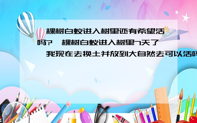 一棵树白蚁进入树里还有希望活吗?一棵树白蚁进入树里7天了,我现在去换土并放到大自然去可以活吗?