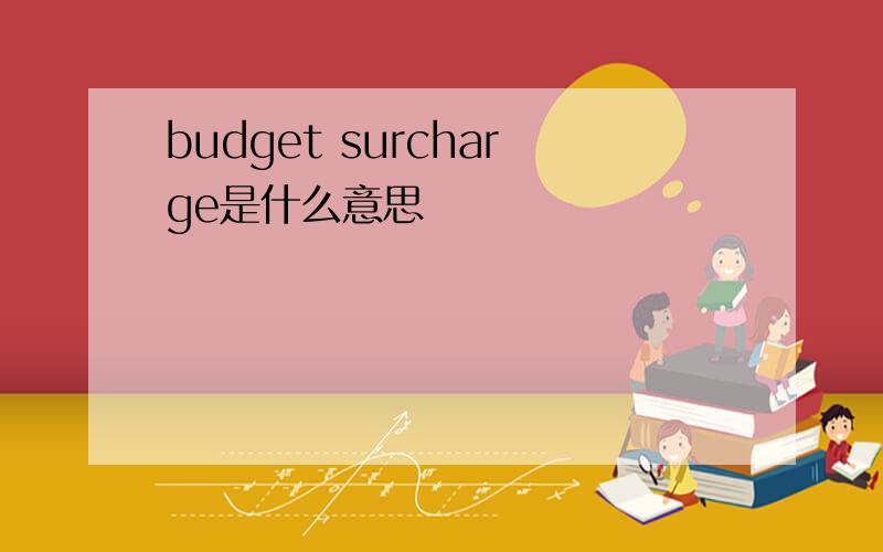 budget surcharge是什么意思